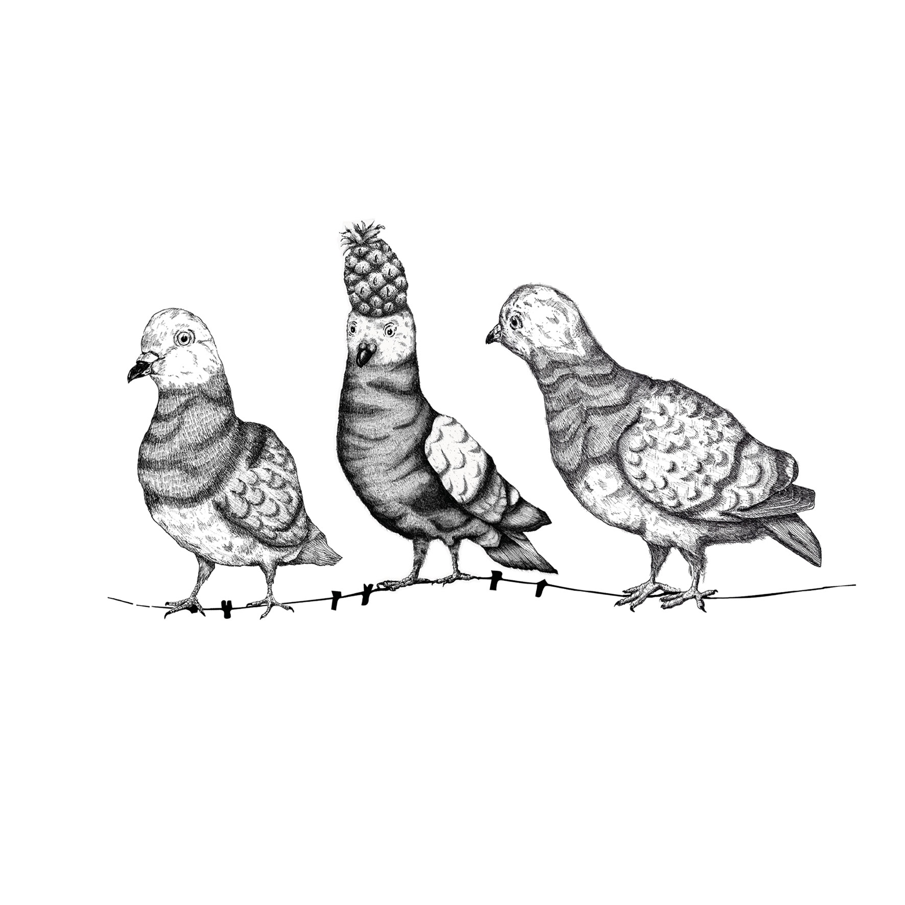 Illustration von drei Brieftauben