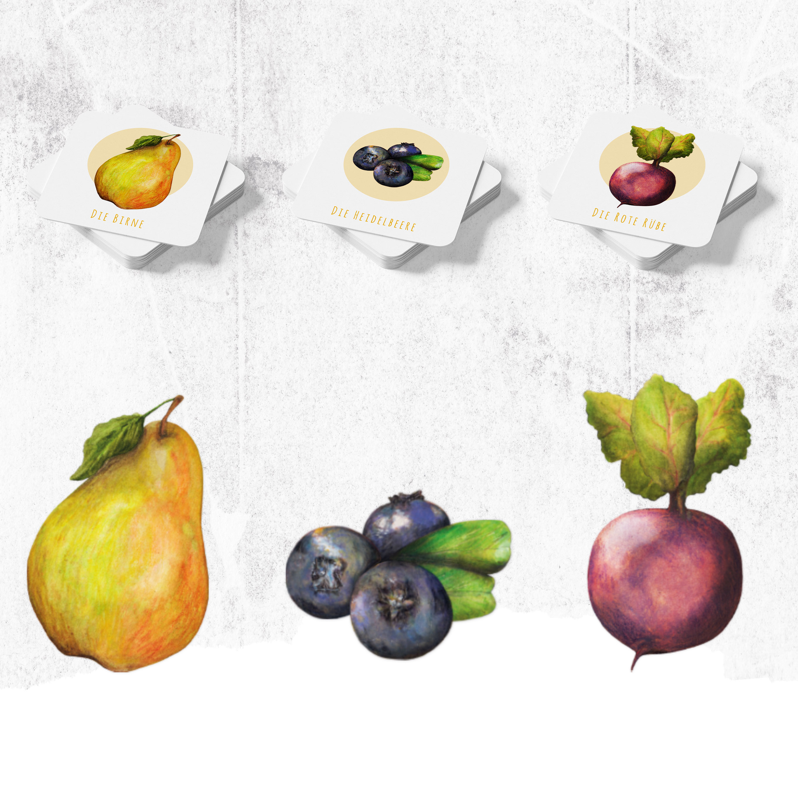 Rosen Illustration