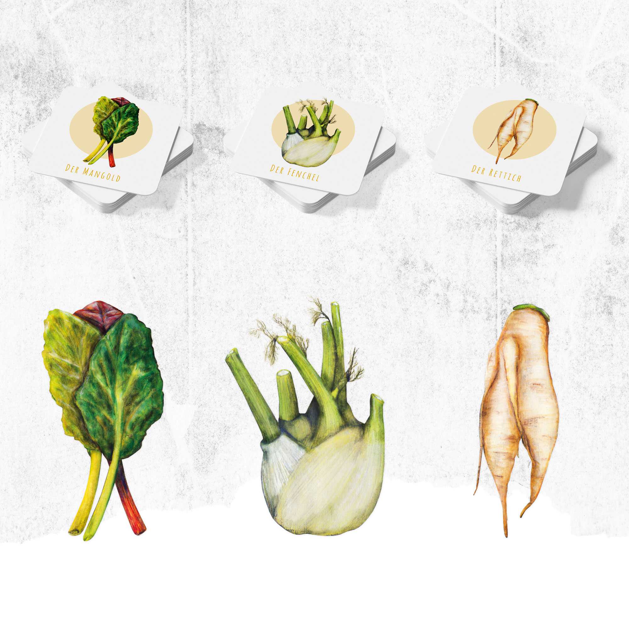 Rosen Illustration in Rahmen